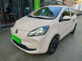 长安欧尚 奔奔E-Star 2021款 国民版 多彩款 磷酸铁锂（31.86kWh）