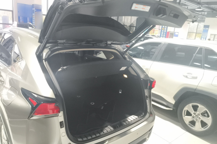 雷克萨斯NX 2020款 300h 前驱 锋尚版 国VI机舱底盘23