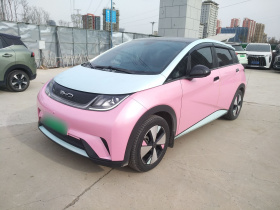 比亚迪 海豚 2023款 420km 时尚版