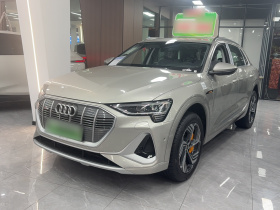 奥迪e-tron 2021款 50 quattro 臻选型