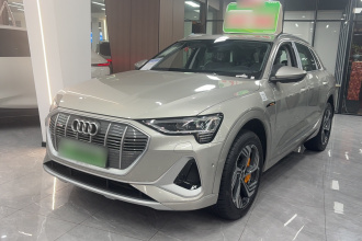 奥迪e-tron 2021款 50 quattro 臻选型