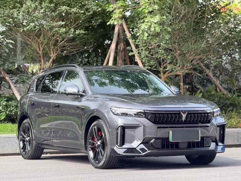岚图汽车 岚图FREE 2025款 318 318km 后驱环游版(4)