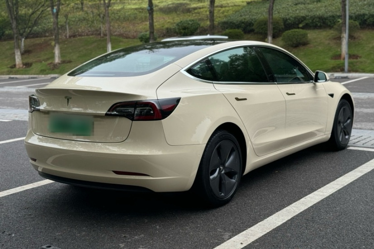 特斯拉 Model 3 2019款 标准续航后驱升级版车身外观6009