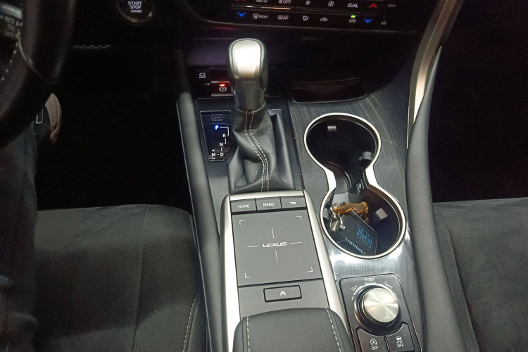 雷克萨斯RX 2020款 改款 300 两驱精英版局部细节18