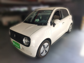 欧拉黑猫 2021款 301km 基础型