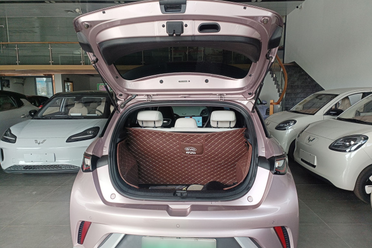 比亚迪 海豚 2021款 405km 时尚版局部细节23