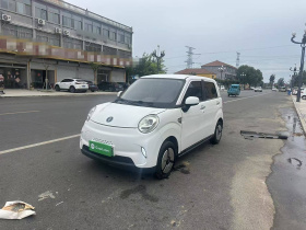 凌宝汽车 凌宝BOX 2022款 卓文君版