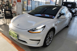 特斯拉 Model 3 2020款 标准续航后驱升级版