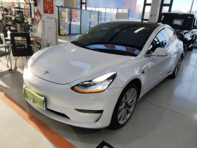 特斯拉 Model 3 2020款 标准续航后驱升级版