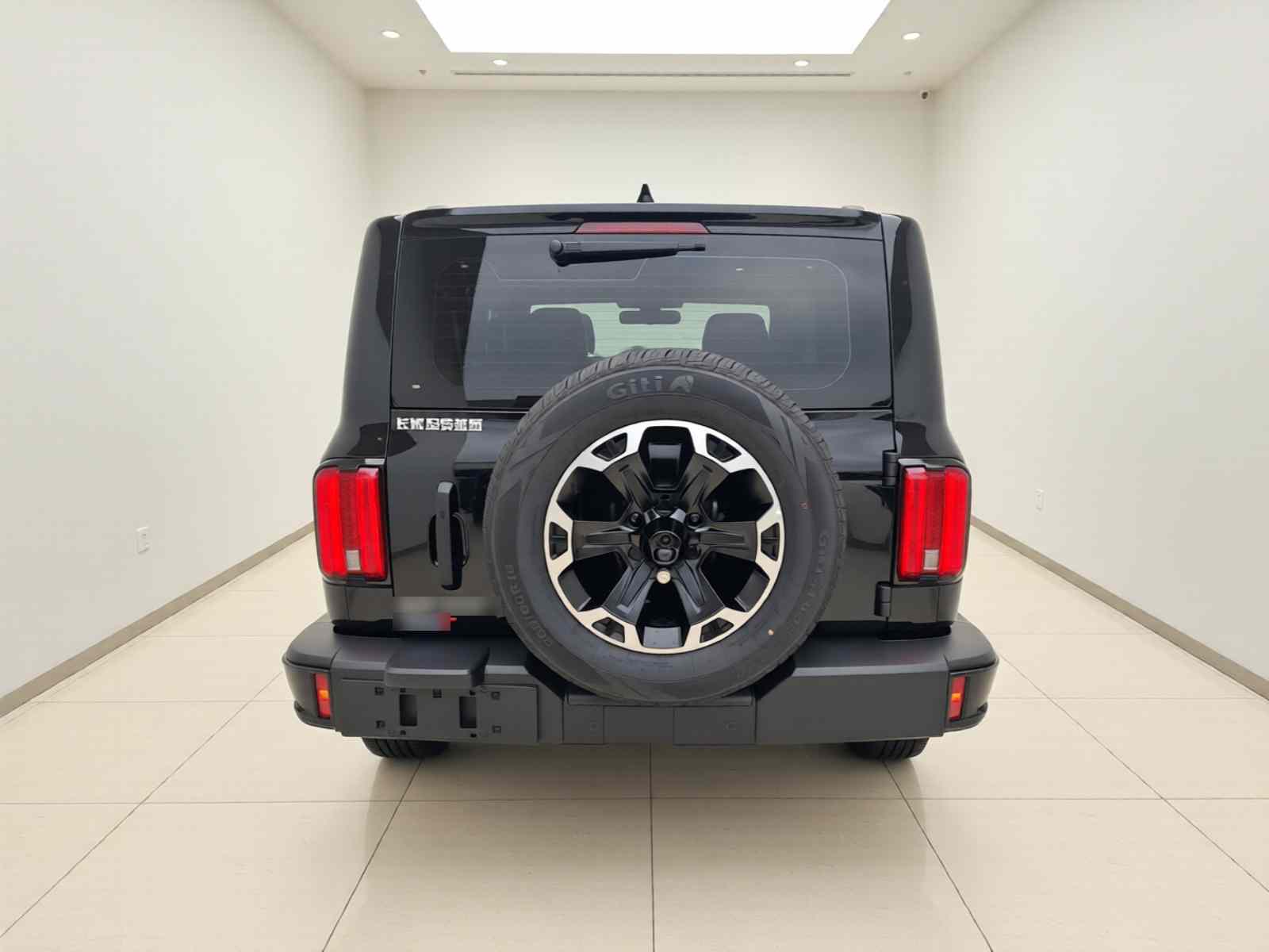 坦克300新能源 2025款 Hi4-T 36.7kWh(4)