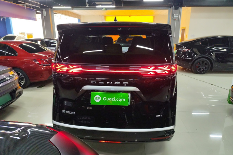 腾势D9 2024款 DM-i 1050 尊享型车身外观6004