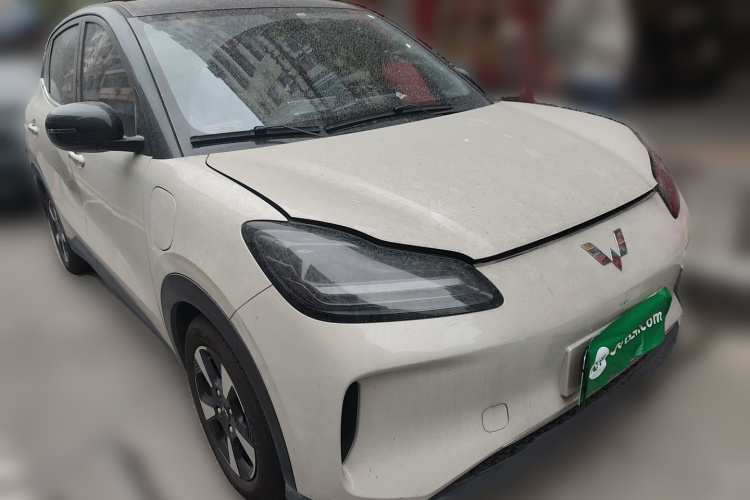 五菱汽车 五菱缤果PLUS 2024款 330km 五座版车身外观6002