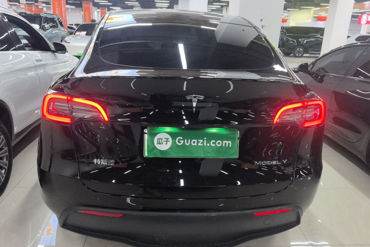 特斯拉 Model Y 2021款 长续航全轮驱动版 3D7车身外观6