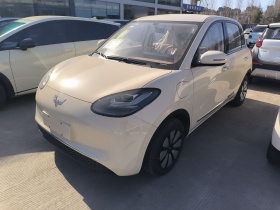 五菱汽车 五菱缤果 2025款 333km 悦享款