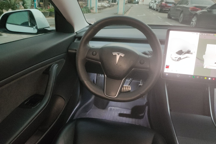 特斯拉 Model 3(进口) 2019款 Performance高性能全轮驱动版中控内饰13