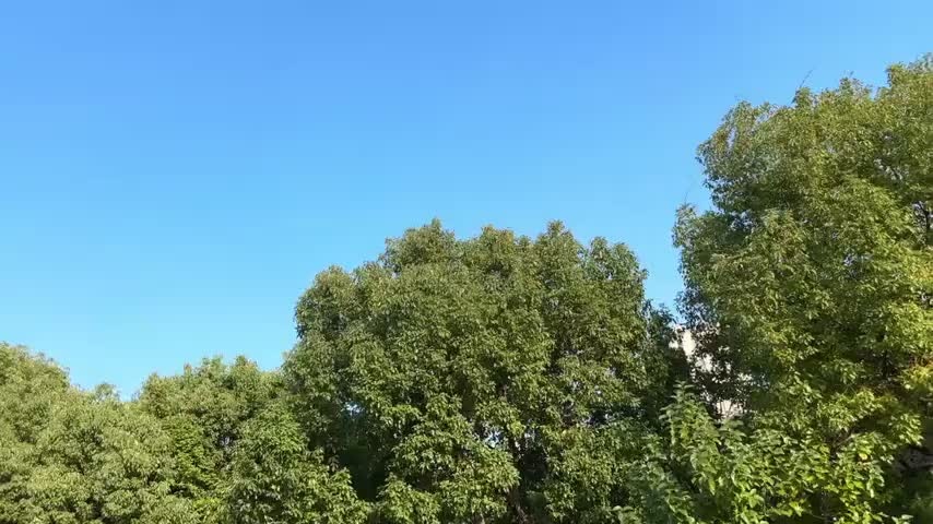 英菲尼迪QX50 2015款 2.5L 舒适版实拍1