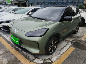 五菱汽车 五菱缤果PLUS 2024款 510km 旗舰版 四座版