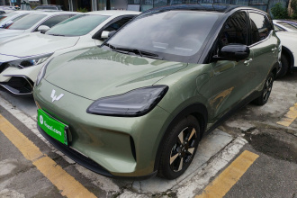 五菱汽车 五菱缤果PLUS 2024款 510km 旗舰版 四座版