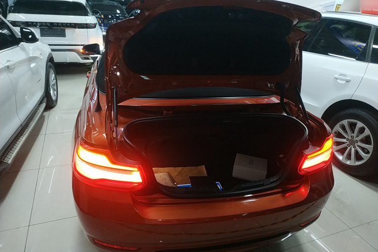 宝马2系(进口) 2018款 220i 敞篷轿跑车 运动设计套装局部细节23