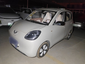 五菱汽车 宏光MINIEV 2025款 四门版 进阶款