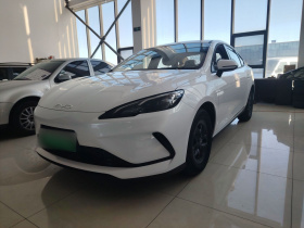 比亚迪 海豹05 DM-i 2025款 DM-i 智驾版 55KM豪华型