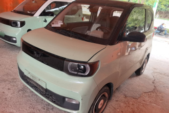 五菱汽车 宏光MINIEV 2021款 马卡龙时尚款 三元锂