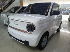 吉利银河 2023款 熊猫mini 200km 耐力熊