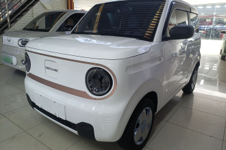 吉利银河 2023款 熊猫mini 200km 耐力熊