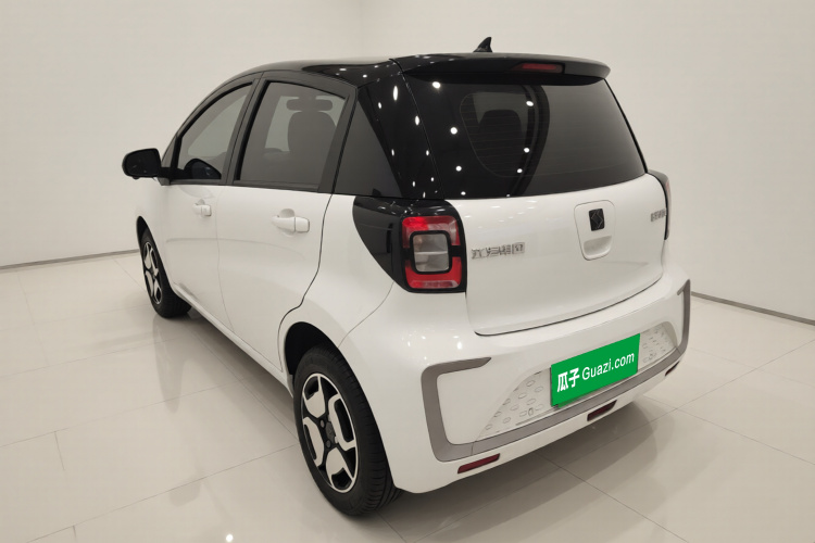 思皓 2022款 花仙子款 四叶草车身外观5