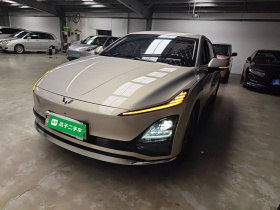 五菱汽车 五菱星光 2024款 共创版 510 进阶型