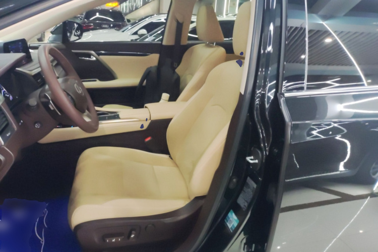 雷克萨斯RX 2020款 300 两驱精英版 国VI中控内饰19