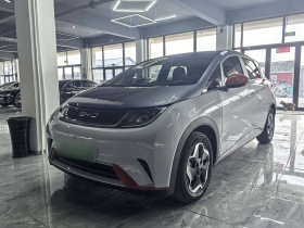 比亚迪 海豚 2021款 405km 时尚版