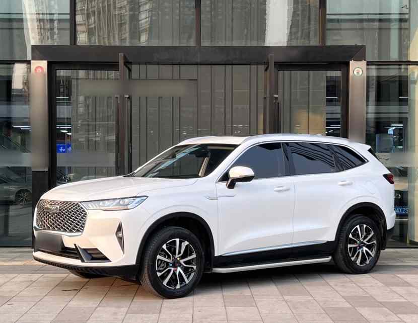 哈弗H6 2022款 第三代 1.5T 自动两驱Max(3)