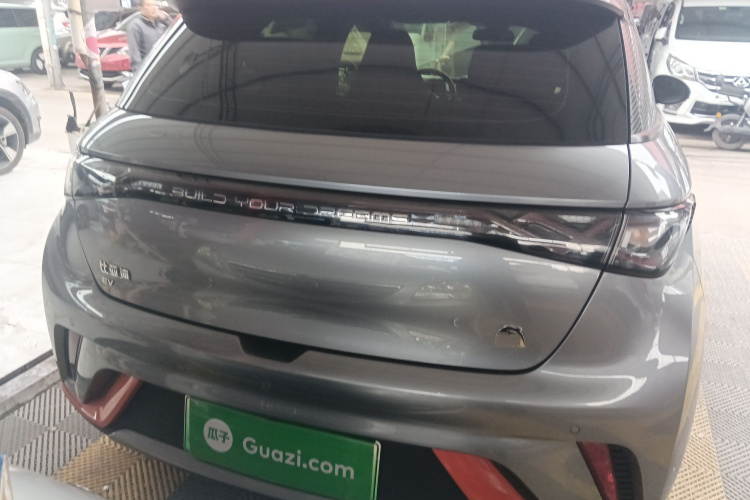 比亚迪 海豚 2021款 405km 时尚版车身外观6