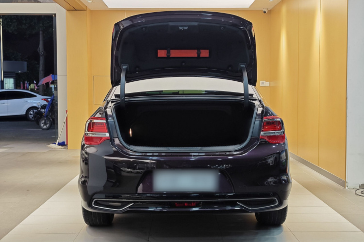 DS 5LS 2016款 1.6T 豪华版THP160局部细节23