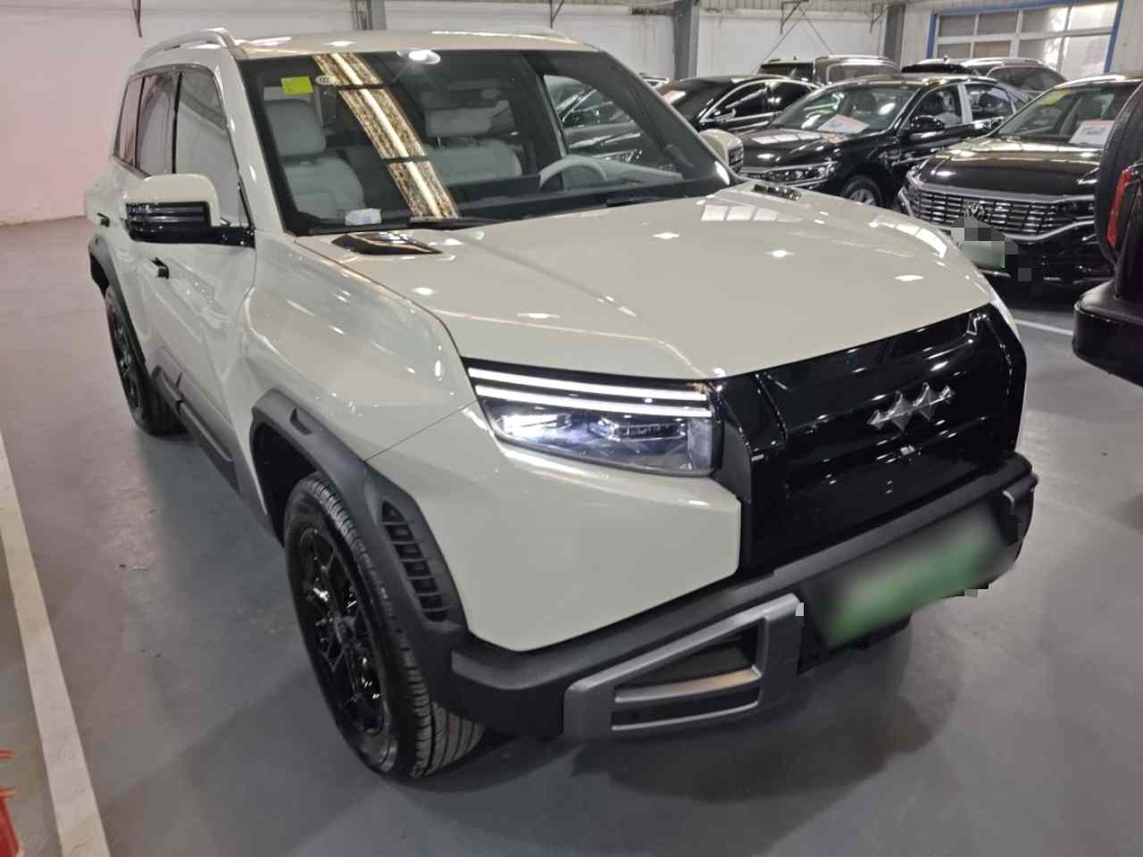 方程豹 钛3 2025款 501KM 后驱Ultra版(5)