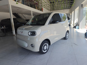 五菱汽车 宏光MINIEV 2024款 第三代 215km 青春版