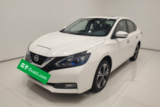 日产 轩逸·纯电 2018款 智尊版