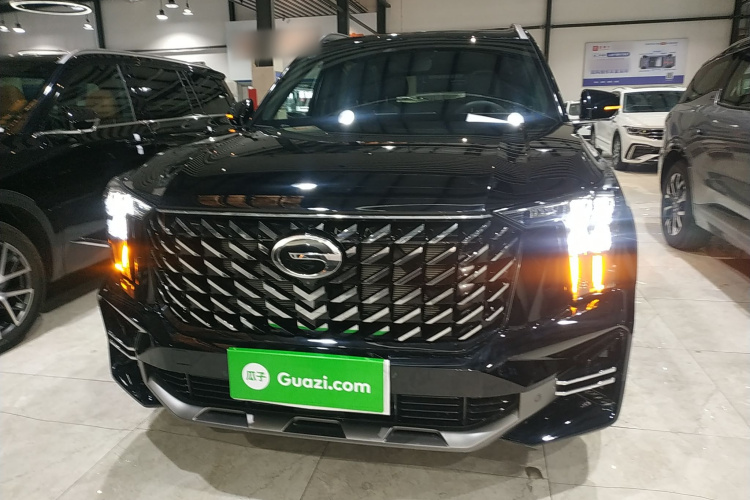 广汽传祺 传祺GS8 2025款 领航系列 2.0TGDI 四驱豪华版 5座车身外观2