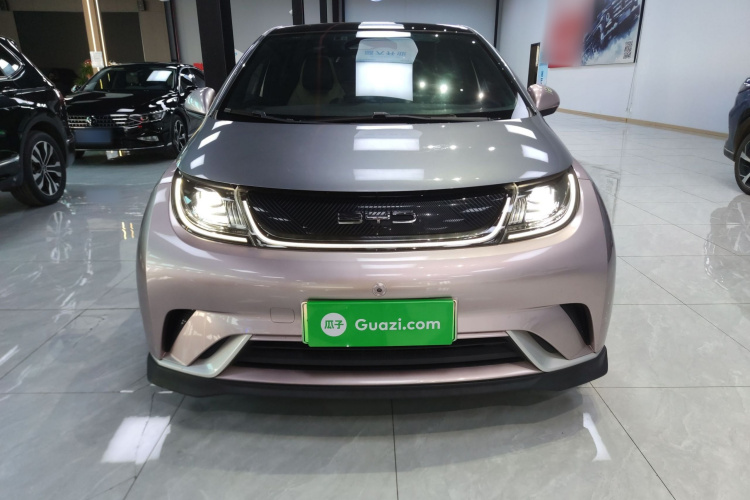 比亚迪 海豚 2021款 401km 骑士版车身外观6001