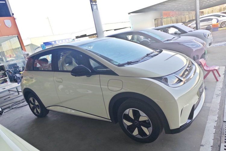 比亚迪 海豚 2025款 420km 自由版车身外观6002