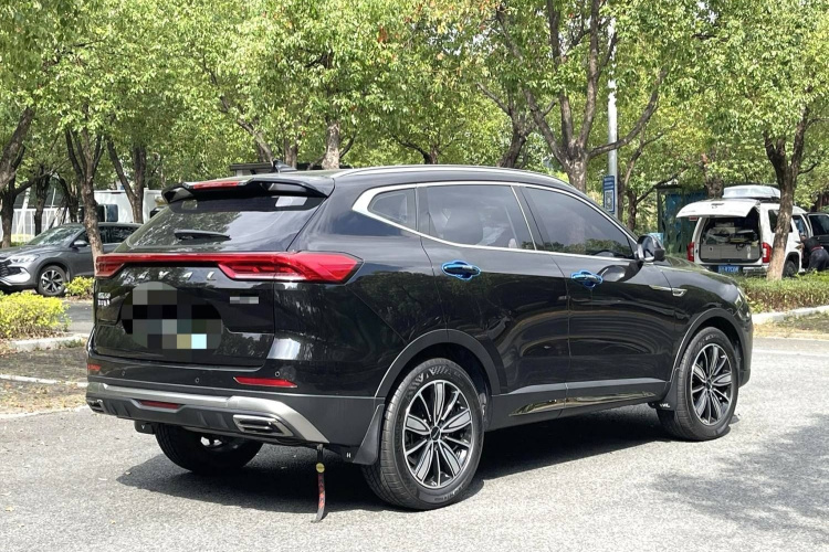 哈弗H6 2023款 国潮版 1.5T 自动冠军版车身外观6008