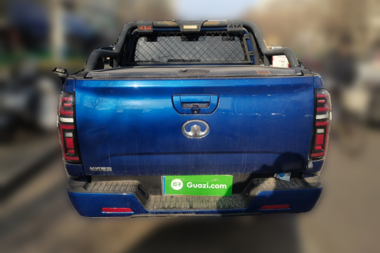 长城 炮 2019款 2.0T自动汽油四驱舒适版GW4C20B车身外观6