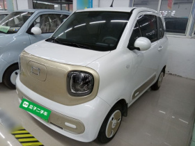 奔腾小马 2025款 222km 闪电马