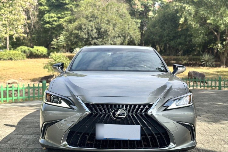 雷克萨斯ES 2021款 200 卓越版车身外观6001