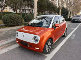 欧拉黑猫 2019款 351km 女神版