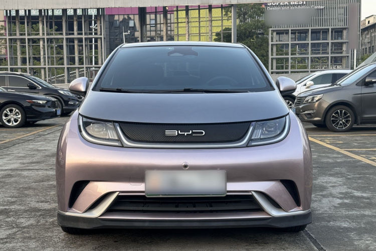 比亚迪 海豚 2021款 401km 骑士版车身外观6002