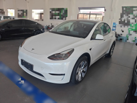 特斯拉 Model Y 2021款 标准续航后驱版