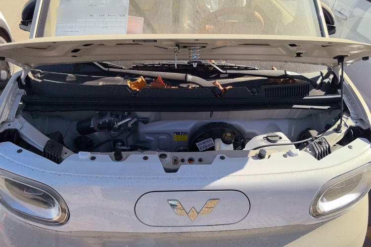 五菱汽车 宏光MINIEV 2024款 第三代 215km 青春版局部细节24