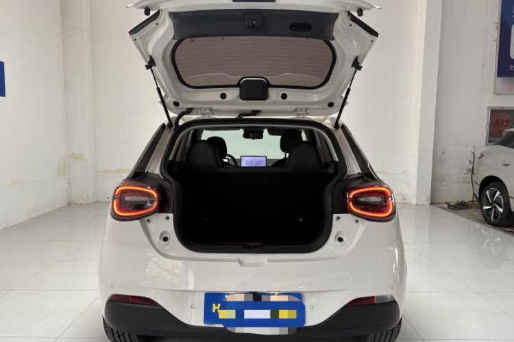 东风纳米 纳米01 2024款 430 Max局部细节23